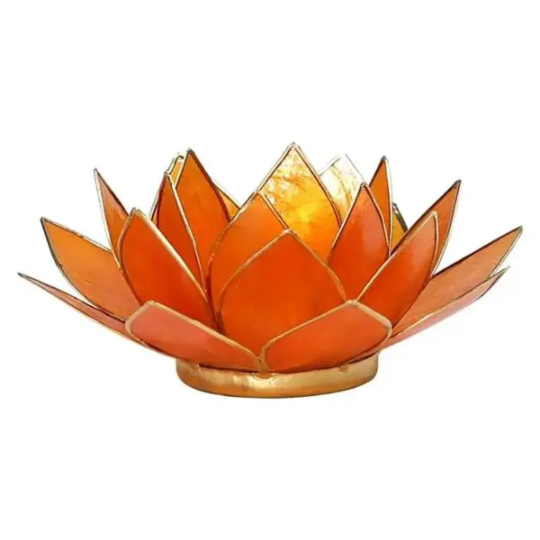 Bougeoir en forme de lotus réalisé en coquille de Capiz, symbolisant les chakras et le passage des ténèbres à la lumière. Ce bougeoir élégant et spirituel crée une magnifique interaction entre la lumière et la couleur, parfait pour toute décoration intérieure.