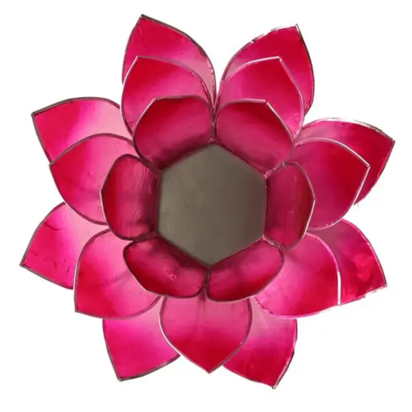 lotus bougie rose