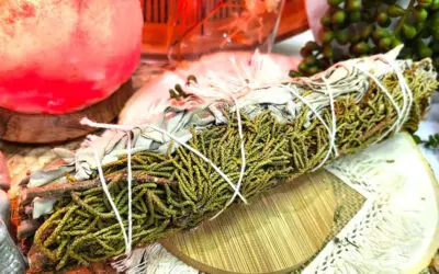 Sauge Blanche & Cèdre fagot 75g