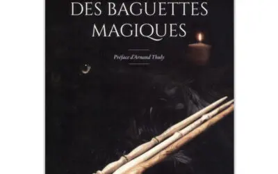 Traité pratique des baguettes magiques