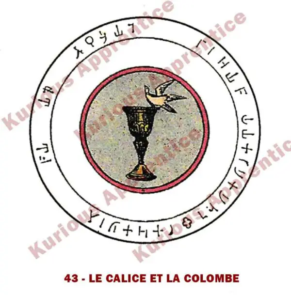 Pentacle Le Calice et la Colombe de l'Abbé Julio en papier de 8 x 8 cm, conçu pour aider à combattre les maladies de peau. Ce talisman utilise des symboles sacrés pour apporter guérison et soulagement aux affections cutanées. Utilisez ce pentacle pour bénéficier de ses vertus curatives et protectrices au quotidien.