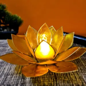 Découvrez Bougeoir Lotus - Rouge Argent réalisé en coquille de Capiz. Symbolisant le passage des ténèbres à la lumière et les sept chakras, ce bougeoir allie beauté et spiritualité, parfait pour illuminer votre espace.