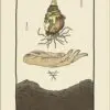 Le Tarot Inclusif – Image 2