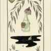 Le Tarot Inclusif – Image 4