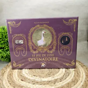 image de la boîte du jeu de l'oie divinatoire