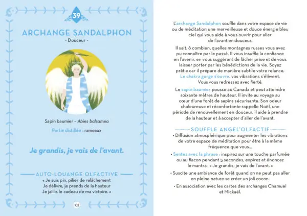 Oracle Le parfum des anges – Image 5