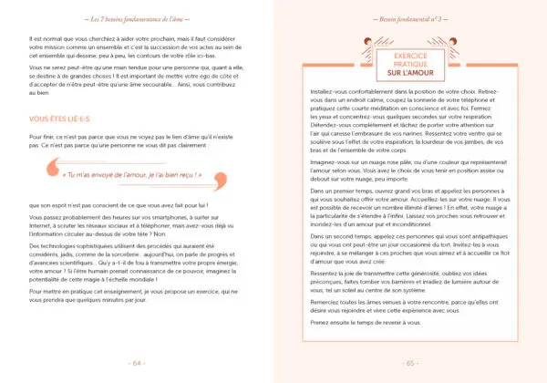 Les 7 besoins fondamentaux de l'âme – Image 5