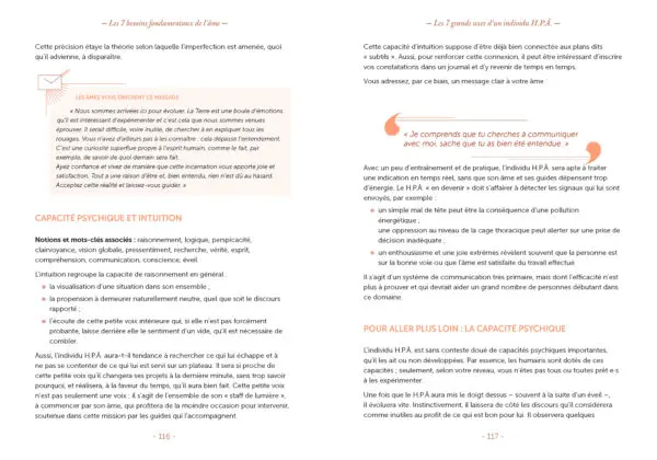 Les 7 besoins fondamentaux de l'âme – Image 7