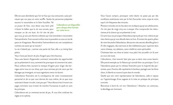 Les 4 piliers de l'abondance – Image 6