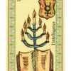 Oracle Belline – Image 3