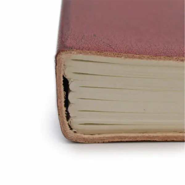 Carnet cuir moyen  - Chiromancie – Image 2