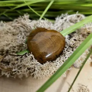 Coeur en Oeil de Tigre