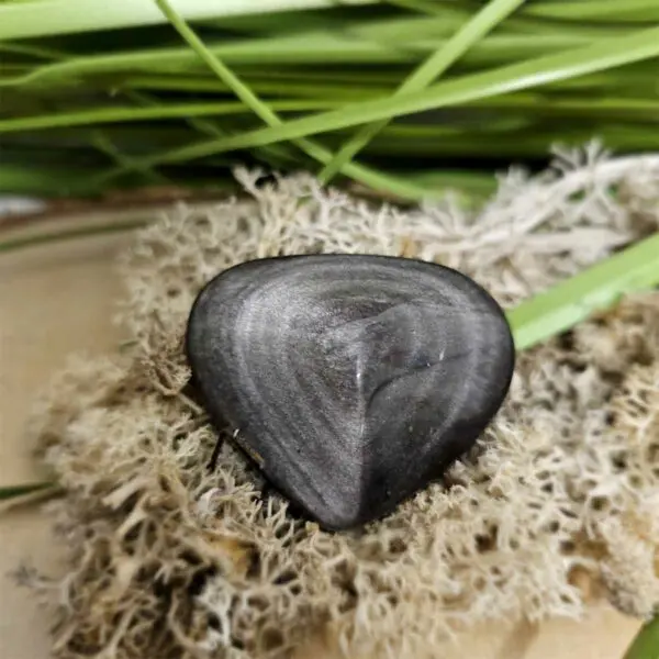 Coeur obsidienne argentée