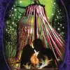 L'Oracle La sagesse des sorcières – Image 3