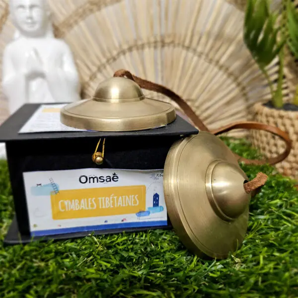 Cymbale Tibétaine en Bronze Grand Modèle