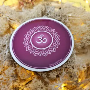 Disque Harmonisant Chakra au choix