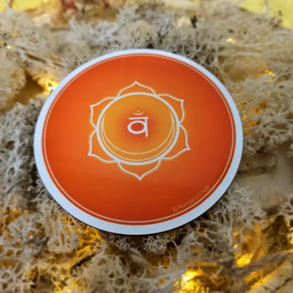 Disque Harmonisant Chakra au choix – Image 2