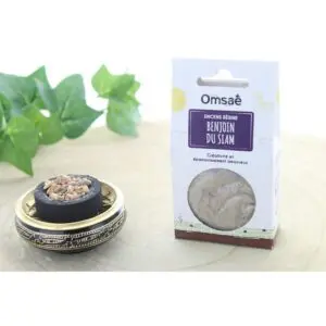 Encens résine en grains benjoin du siam 50 g