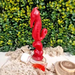Bougie Macumba Hippocampe