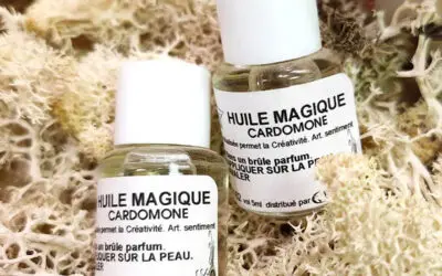 Huile Magique : Cardomone (Créativité)