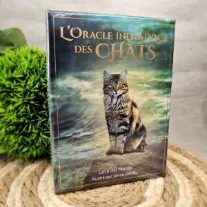 L'oracle initiatique des chats