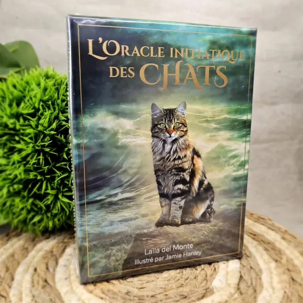 L'oracle initiatique des chats
