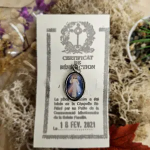 Médaille Sainte Bénie JESUS MISERICORDIEUX - Couleur
