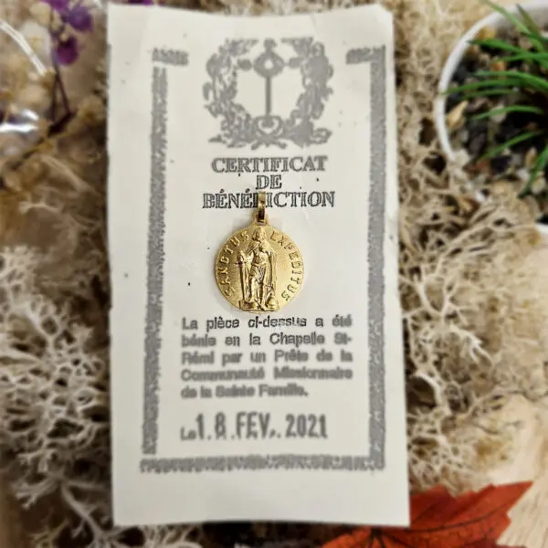 Médaille Sainte Bénie SAINT EXPEDIT - Doré