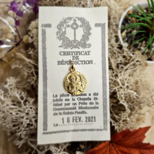 Médaille Sainte Bénie SAINT FRANCOIS D'ASSISE - Doré