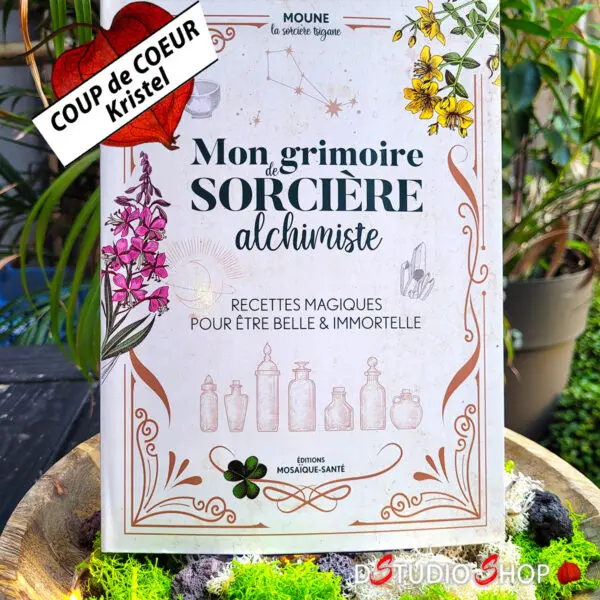 Mon grimoire de sorcière alchimiste