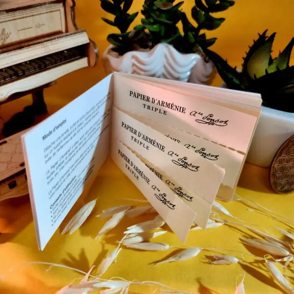 Papier d'Arménie - Carnet Tradition – Image 2