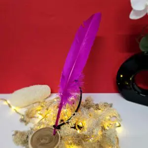 Plume Fuschia 25-30cm
