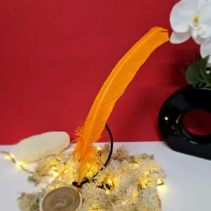 Plume Orange 25-30cm