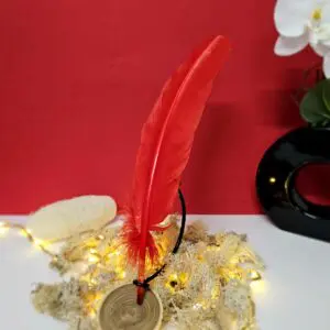 Plume Rouge 25-30cm