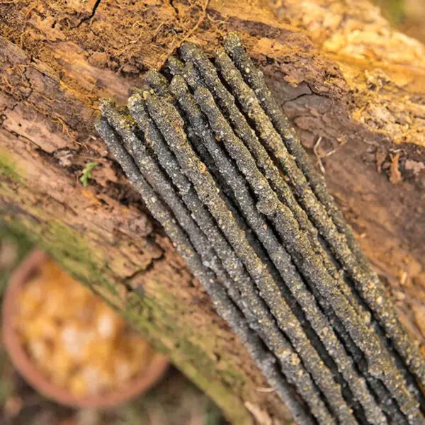 Sagrada Madre - Encens Frankincense – Image 2