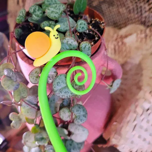 Stylo Escargot – Image 2