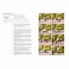 Yoga & Nature – Image 10