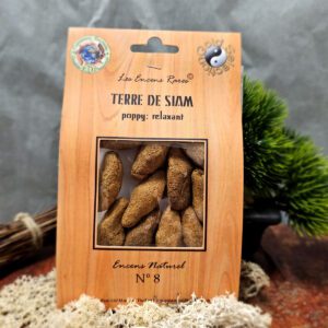 Sachet d'encens rares « Terre de Siam » de la marque DVF, pesant 25 grammes. Le sachet est étiqueté pour indiquer ses vertus relaxantes grâce à la fleur d'opium et sa fabrication artisanale en Thaïlande sans charbon ni bois, à base de plantes, herbes, feuilles, paille de riz, résines naturelles (benjoin, myrrhe, copal), utilisant de l'eau de pluie pour le liant et le soleil pour le séchage.