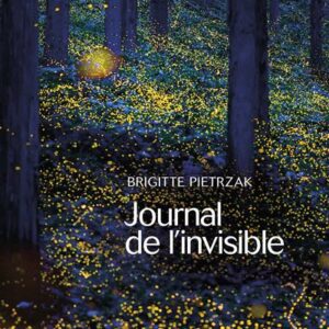 Journal-de-l-invisible