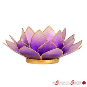 Eclairage d’ambiance Lotus violet