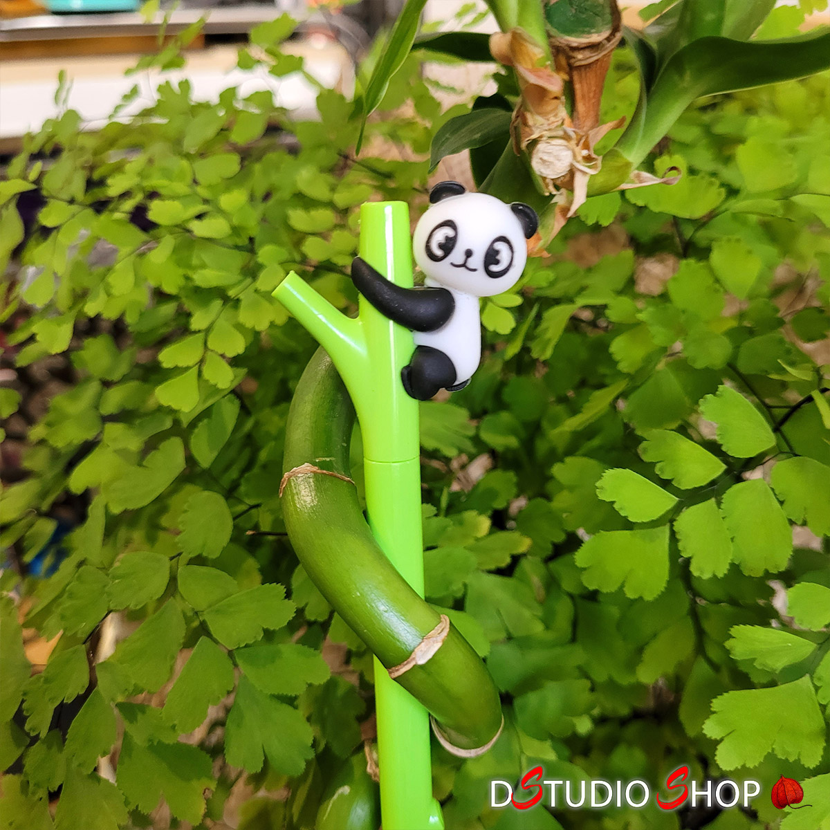 Stylo Panda - Kurious Apprentice