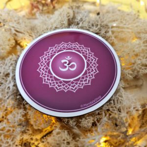 Disque Harmonisant Chakra au choix