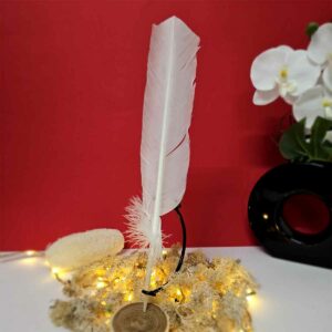 Plume Blanche 25-30cm