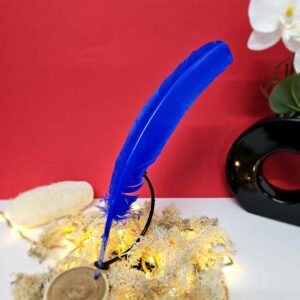 Plume Bleue 25-30cm