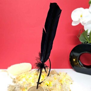 Plume Noire 25-30cm