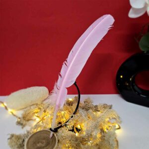 Plume Rose 25-30cm