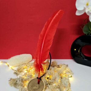 Plume Rouge 25-30cm