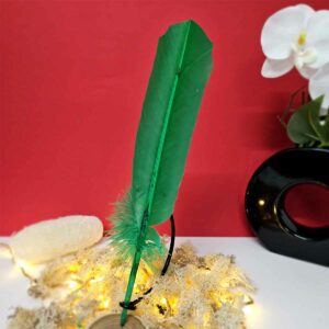 Plume Verte 25-30cm