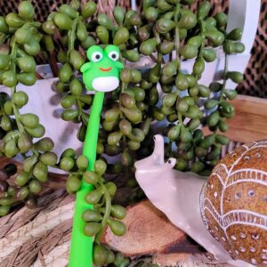 Stylo Grenouille