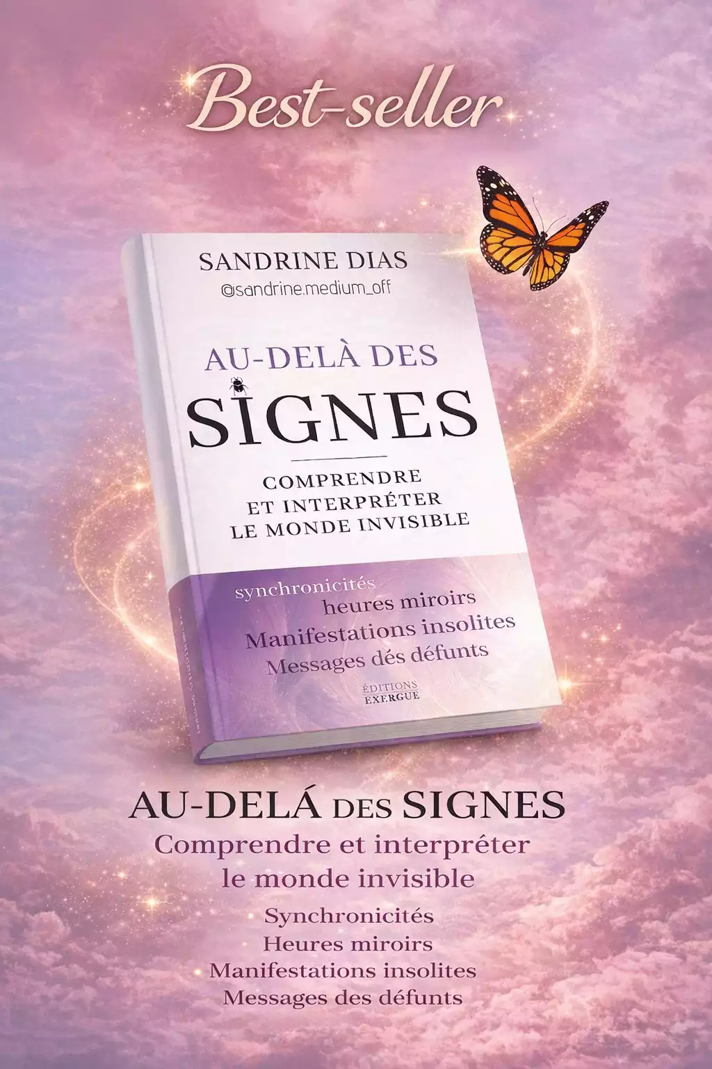 Best-seller au dela des signes